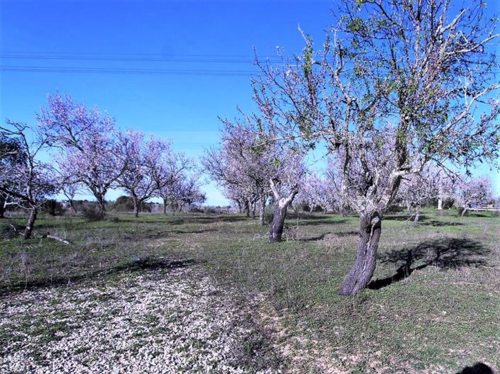 Image No.2-Plot for sale