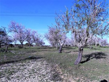 id78d95501-0000-0500-0000-000018abdee4