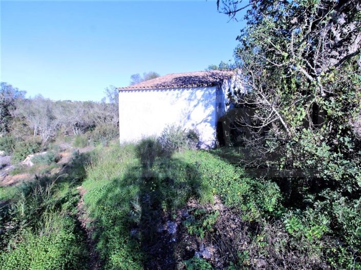 Image No.3-Plot for sale