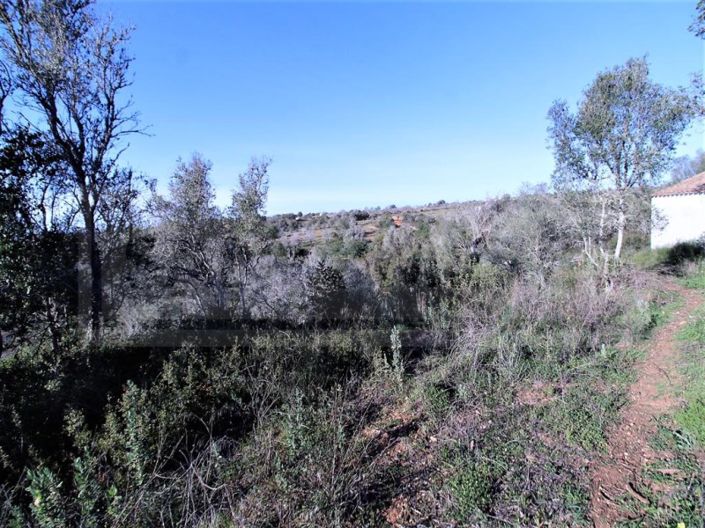 Image No.4-Plot for sale