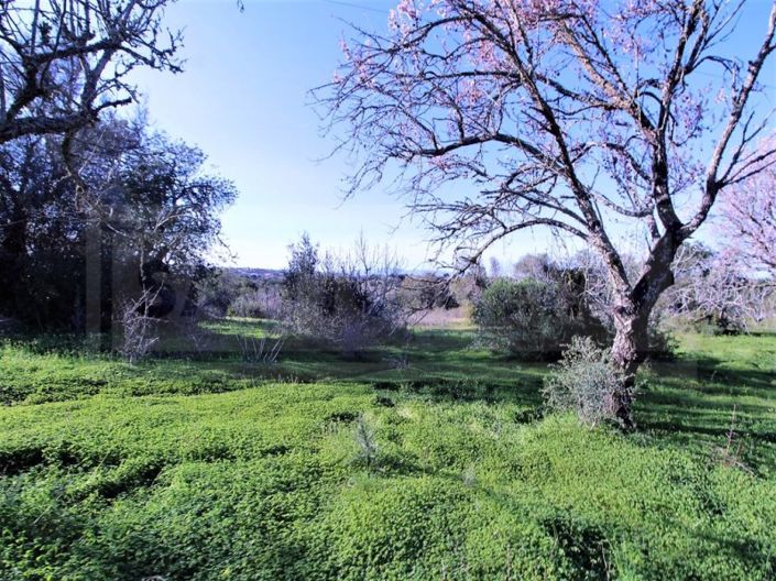 Image No.8-Plot for sale