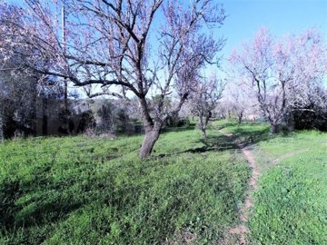 id78d95501-0000-0500-0000-000018abdeeb