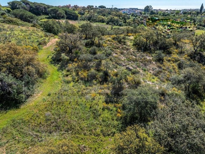 Image No.3-Plot for sale
