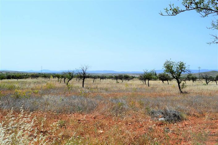 Image No.8-4 Bed Cortijo for sale