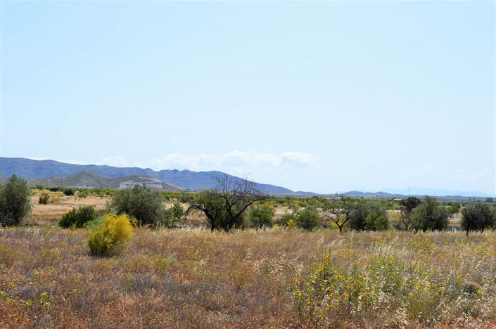 Image No.9-4 Bed Cortijo for sale