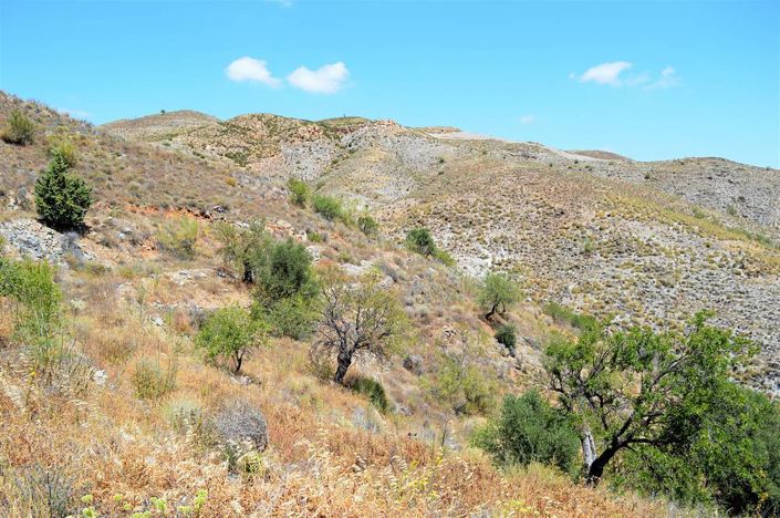 Image No.7-Land for sale