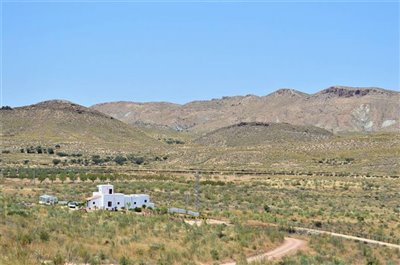 Olive Property Sales most sold property