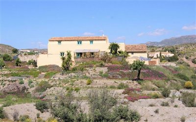 Olive Property Sales most sold property
