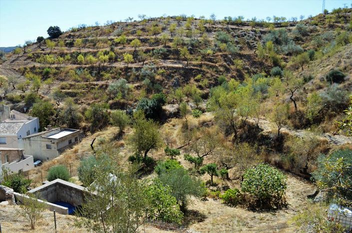 Image No.10-Cortijo for sale