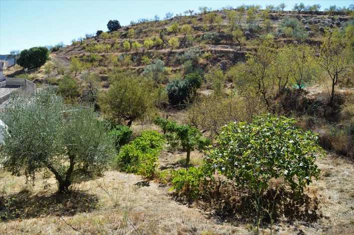 Image No.16-Cortijo for sale