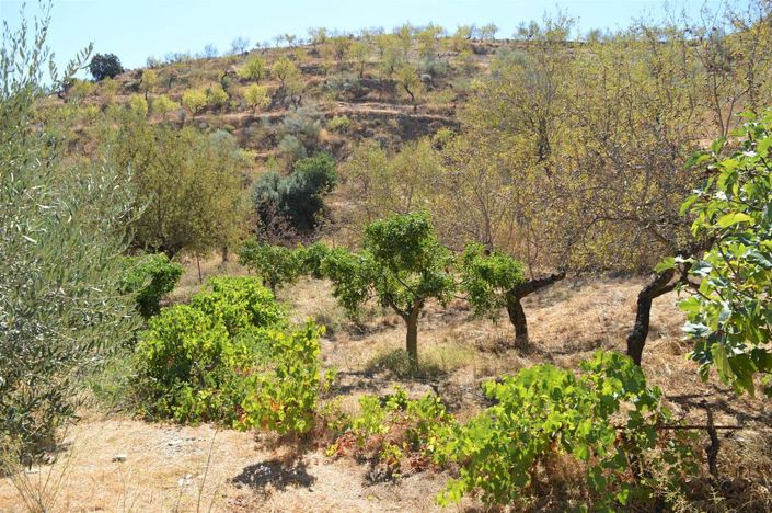 Image No.17-Cortijo for sale
