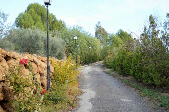 Image No.12-4 Bed Cortijo for sale