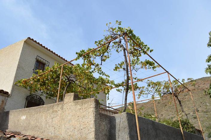 Image No.3-5 Bed Village House for sale