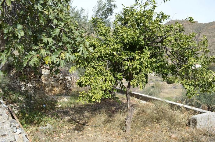 Image No.7-5 Bed Village House for sale