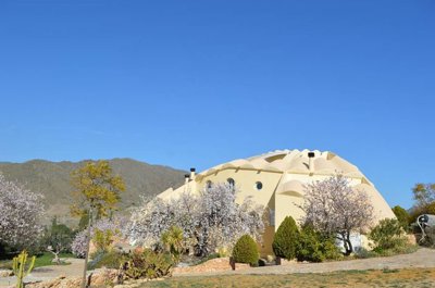 Olive Property Sales most sold property