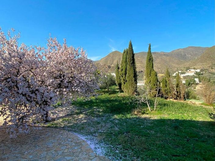 Image No.11-7 Bed Country House for sale