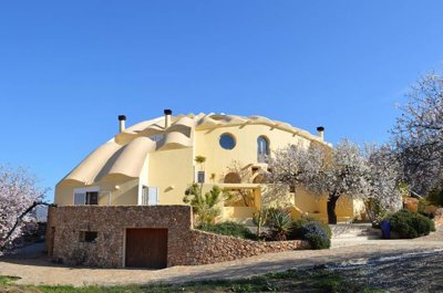 Olive Property Sales most sold property