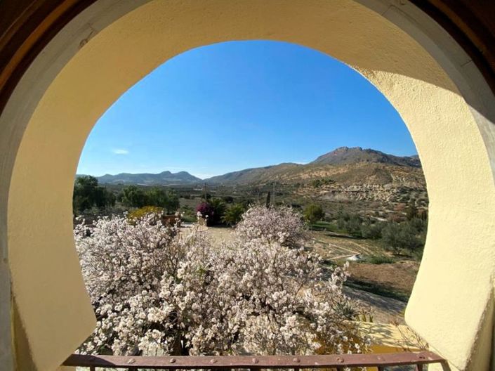 Image No.9-7 Bed Country House for sale