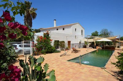 Olive Property Sales most sold property