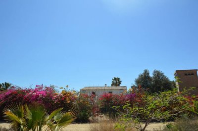 Olive Property Sales most sold property