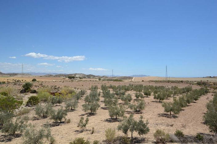 Image No.12-Cortijo de 7 chambres à vendre à Los Gallardos