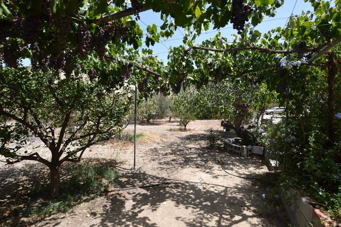 Image No.5-5 Bed Country House for sale