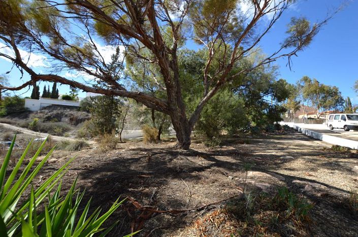 Image No.11-3 Bed Townhouse for sale