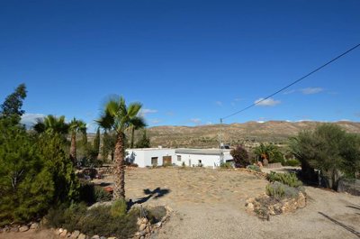 Olive Property Sales most sold property