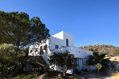 Olive Property Sales most sold property