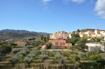Olive Property Sales most sold property