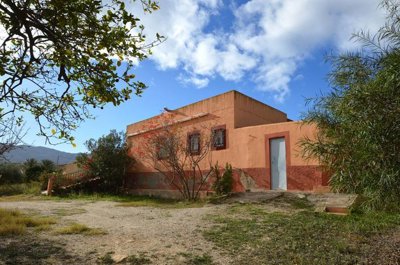 Olive Property Sales most sold property