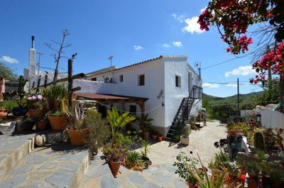Olive Property Sales most sold property
