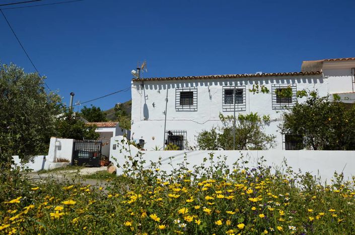 Image No.3-5 Bed Country House for sale