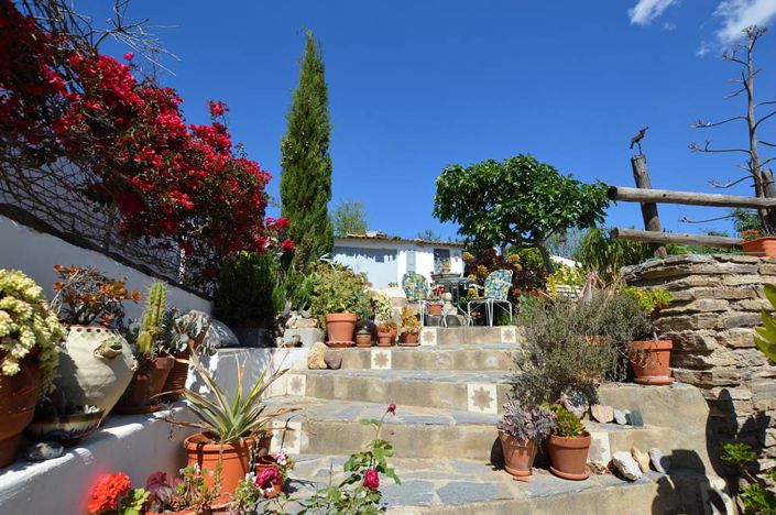 Image No.8-5 Bed Country House for sale