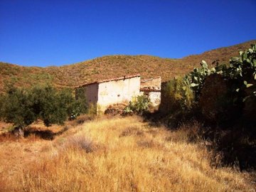 Olive Property Sales most sold property