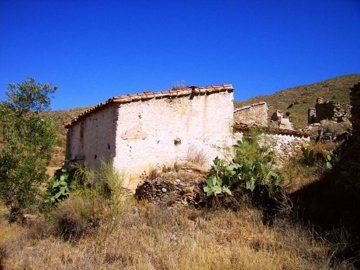 Olive Property Sales most sold property