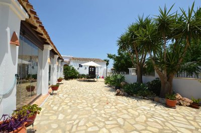 Olive Property Sales most sold property
