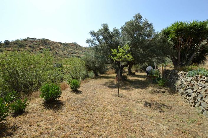 Image No.7-3 Bed Country House for sale