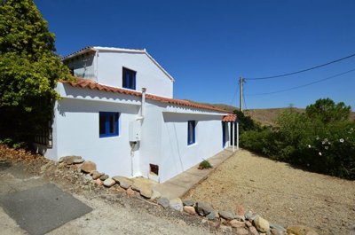 Olive Property Sales most sold property