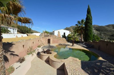 Olive Property Sales most sold property