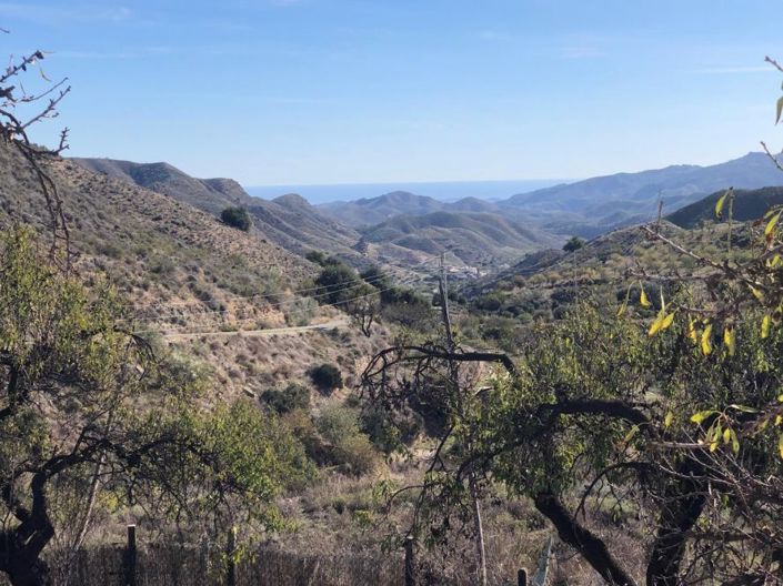 Image No.16-6 Bed Country House for sale