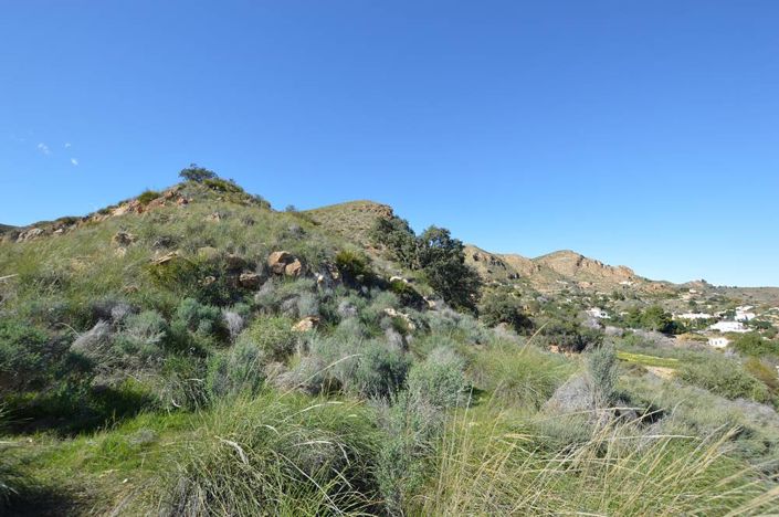 Image No.12-4 Bed Cortijo for sale