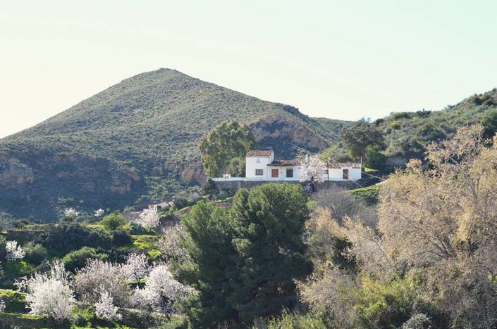 Image No.4-4 Bed Cortijo for sale