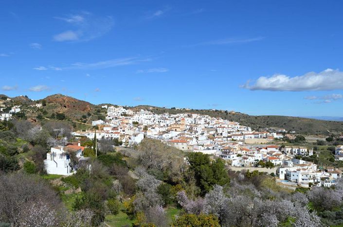 Image No.8-4 Bed Cortijo for sale