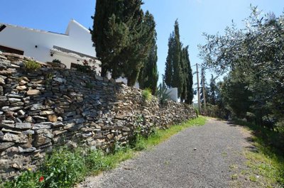 resizeddsc23053