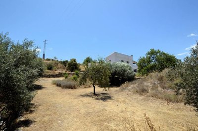 resizeddsc23710