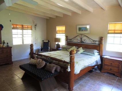 Image No.16-Maison de 6 chambres à vendre à Liberta