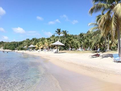 Image No.6-Terrain à vendre à English Harbour Town