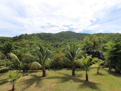 Image No.17-Villa de 2 chambres à vendre à Old Road