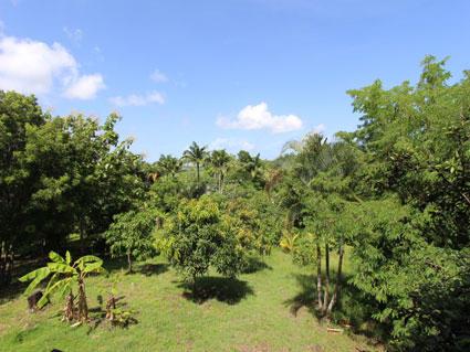 Image No.8-1 Bed Cottage for sale